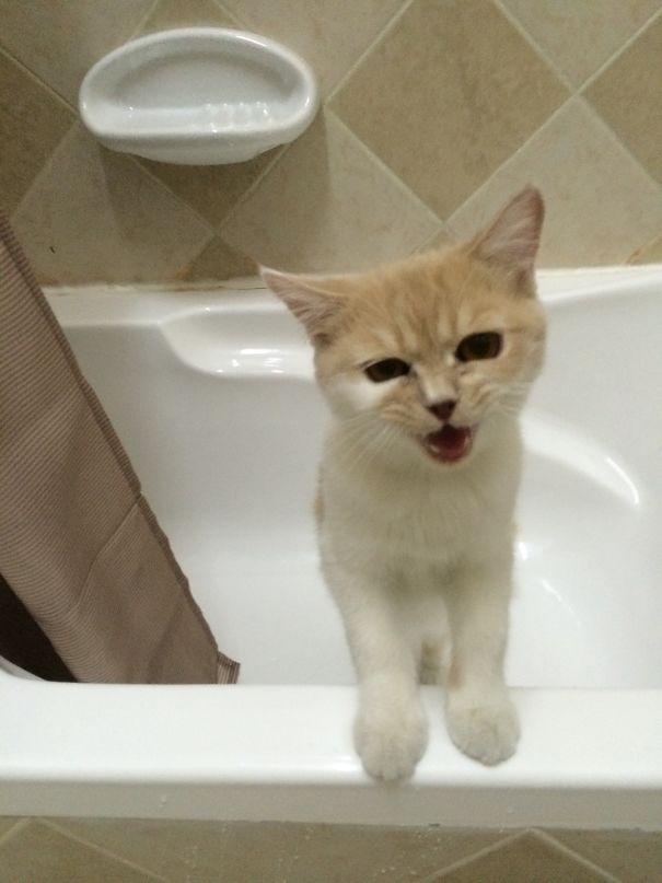 Protesting Bath Time !