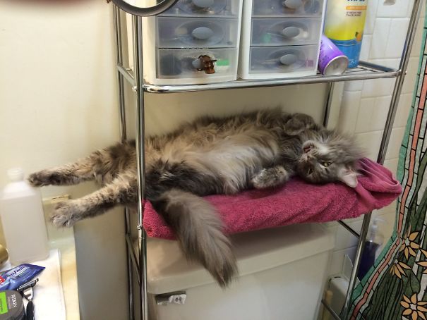 Well, I'm Comfortable.