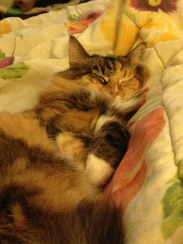 I Am So Beautiful..........to Me......can't You See?