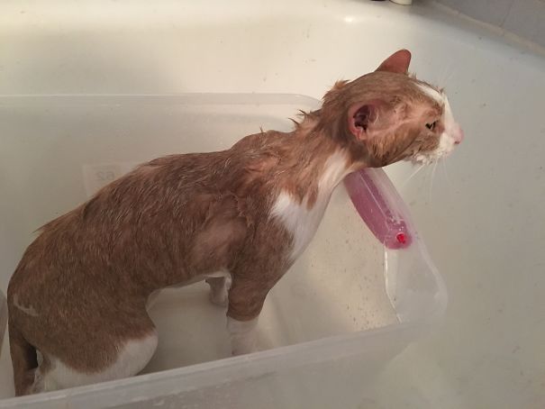 Baths Can't Be That Bad...