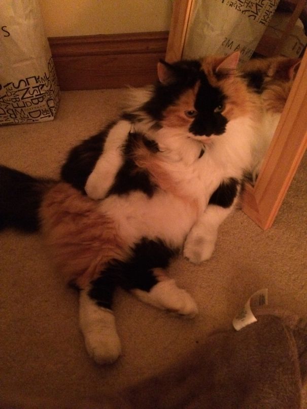 Paint Me Like One Of Your French Girls