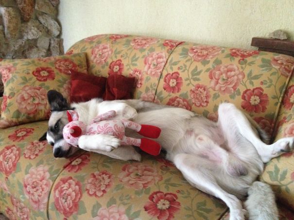 He Loved His Christmas Present So Much!