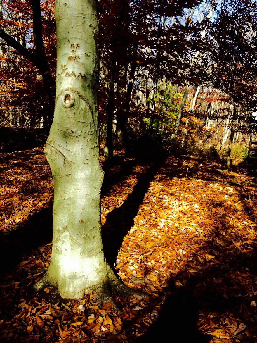 I Photograph Places I've Been And Things I See I Photograph Places I've Been And Things I See