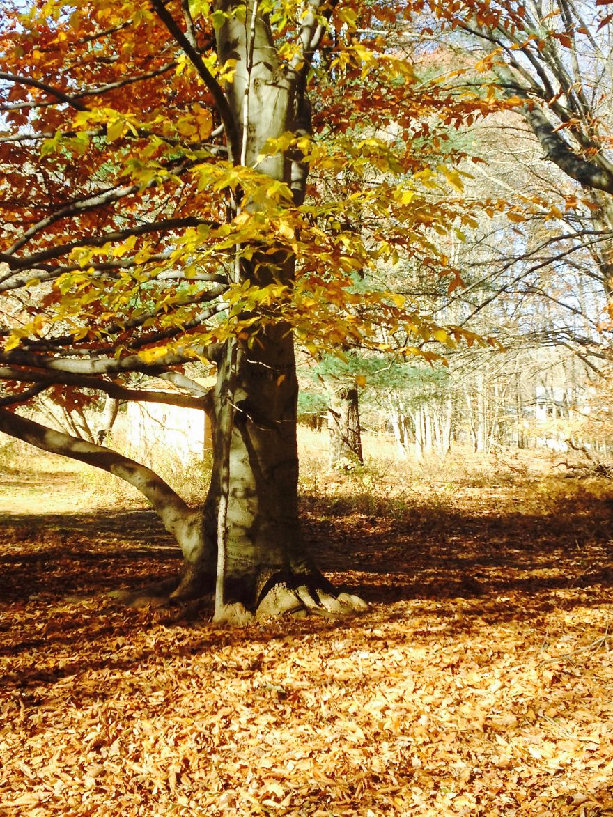 I Photograph Places I've Been And Things I See I Photograph Places I've Been And Things I See