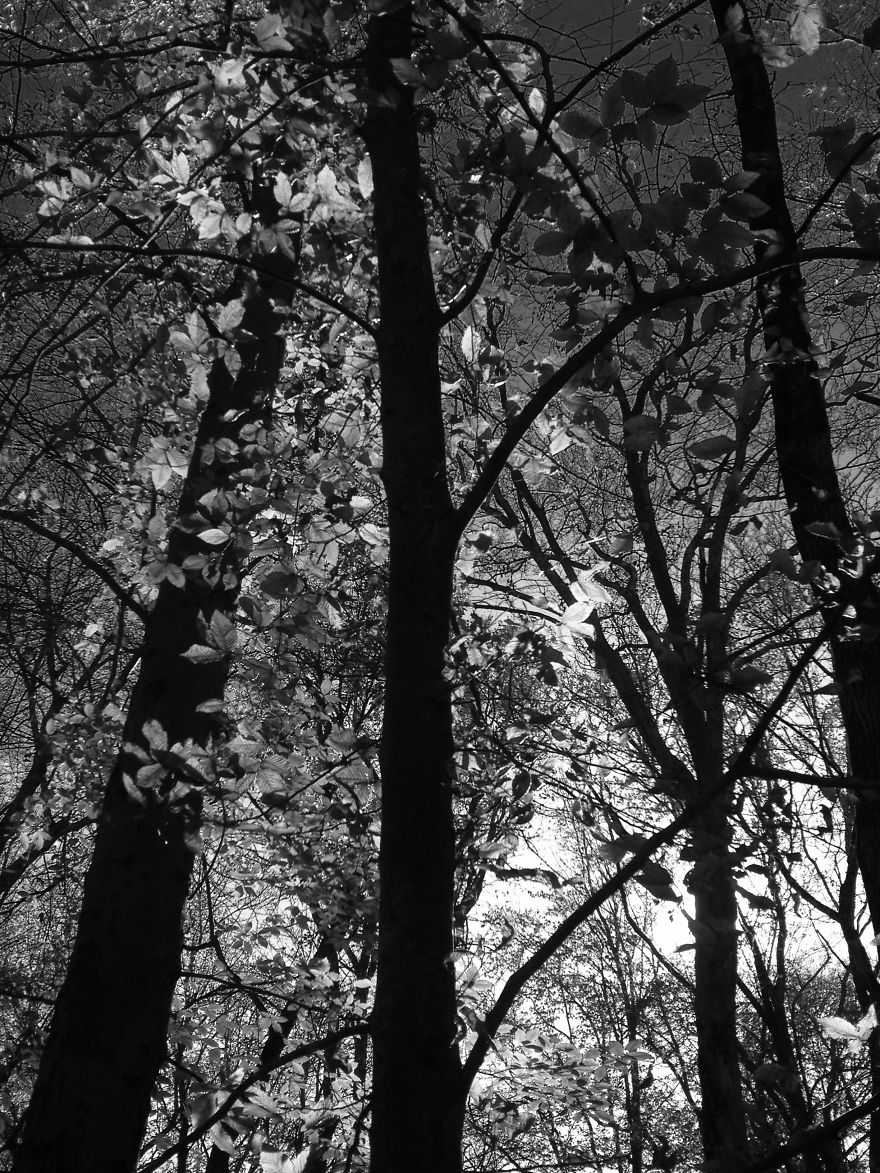 I Photograph Places I've Been And Things I See I Photograph Places I've Been And Things I See