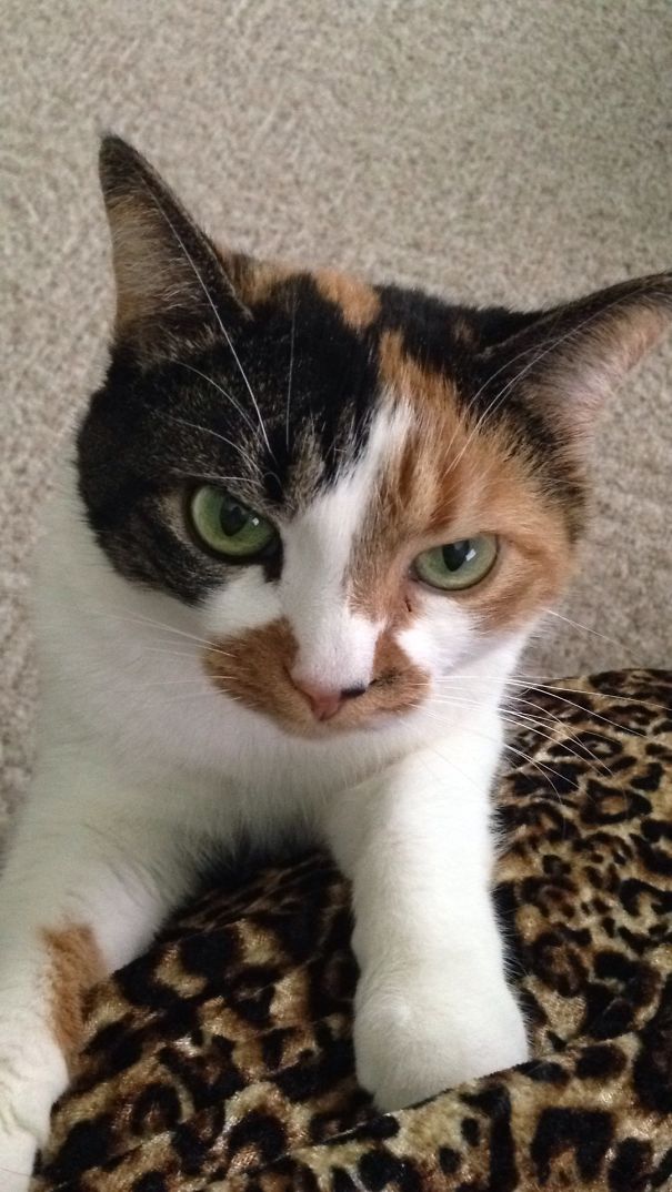 Mom, We Need To Talk