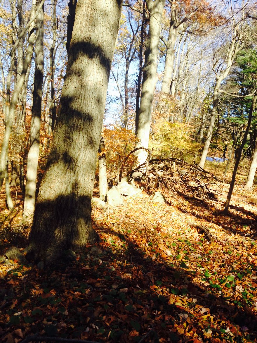 I Photograph Places I've Been And Things I See I Photograph Places I've Been And Things I See