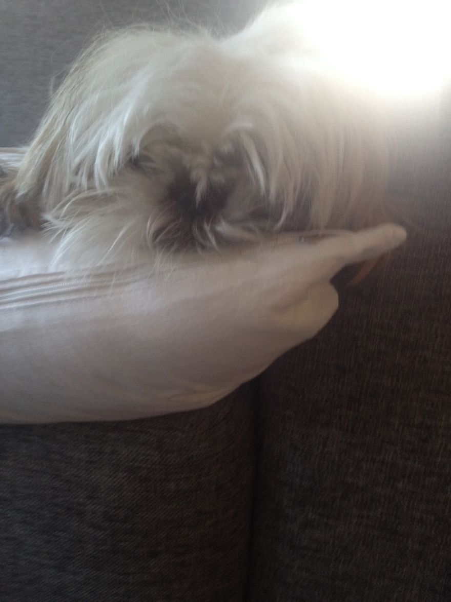 I Photograph Places I've Been And Things I See I Photograph Places I've Been And Things I See