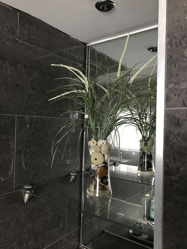 Surprised Expression In A Vase