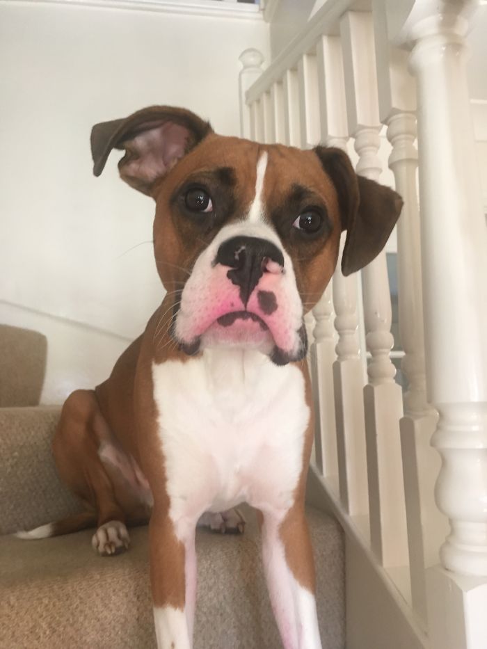 His Perfect Color, He Stole My Shade Perfect Lipstick.