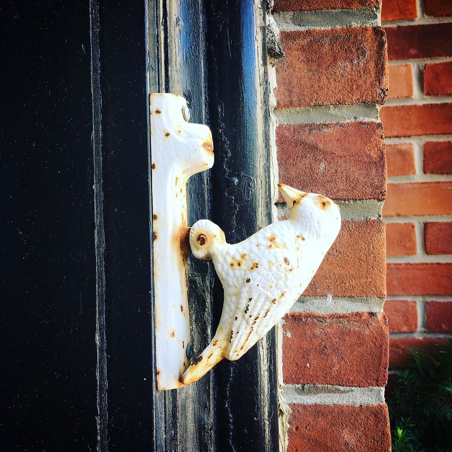 I'm Slightly Obsessed With Knockers