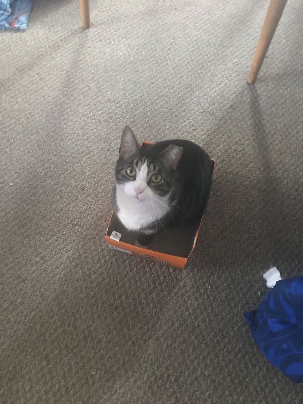 No It's Not Your New Sketchers. It's Me So Get Over It