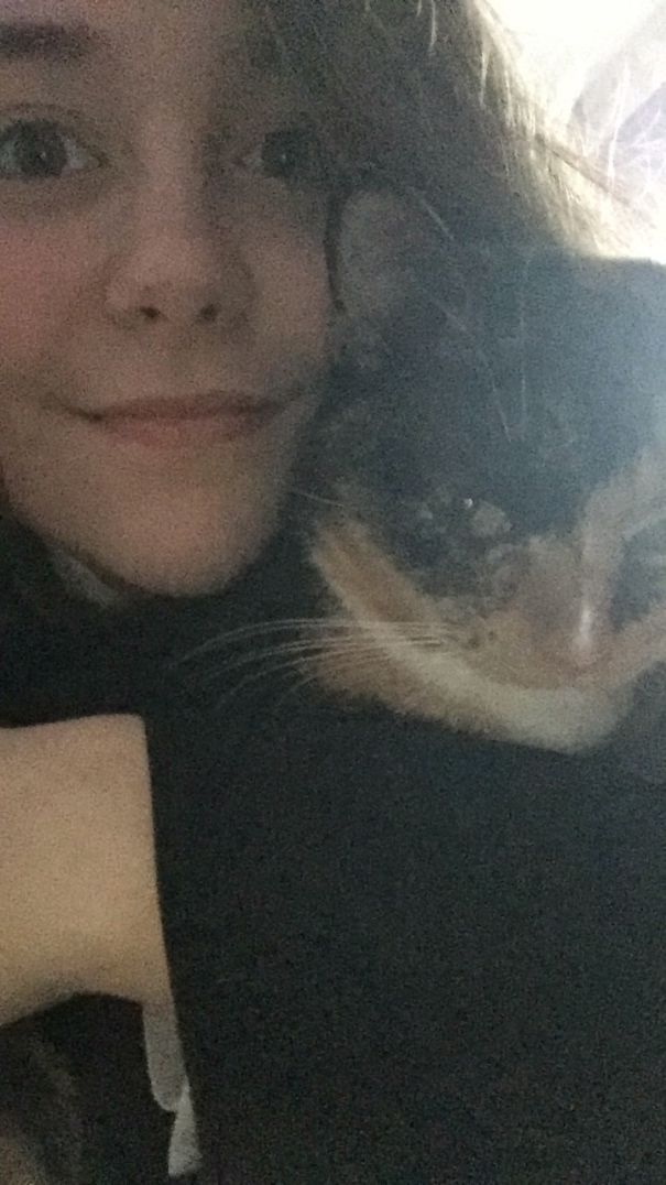 Tried To Take A Selfie With My Kitty, This Is The Look I Got 😂