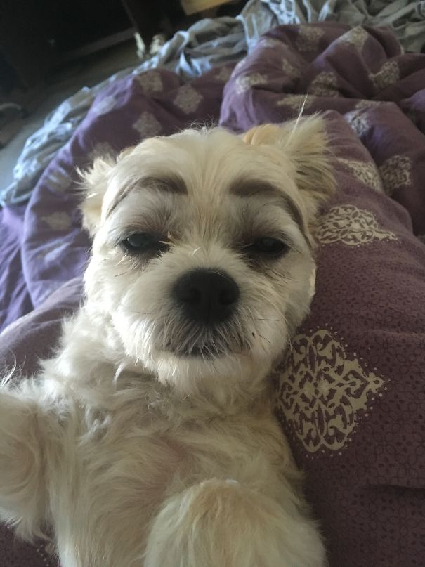 She Looks So Impressed With Her New Eyebrows