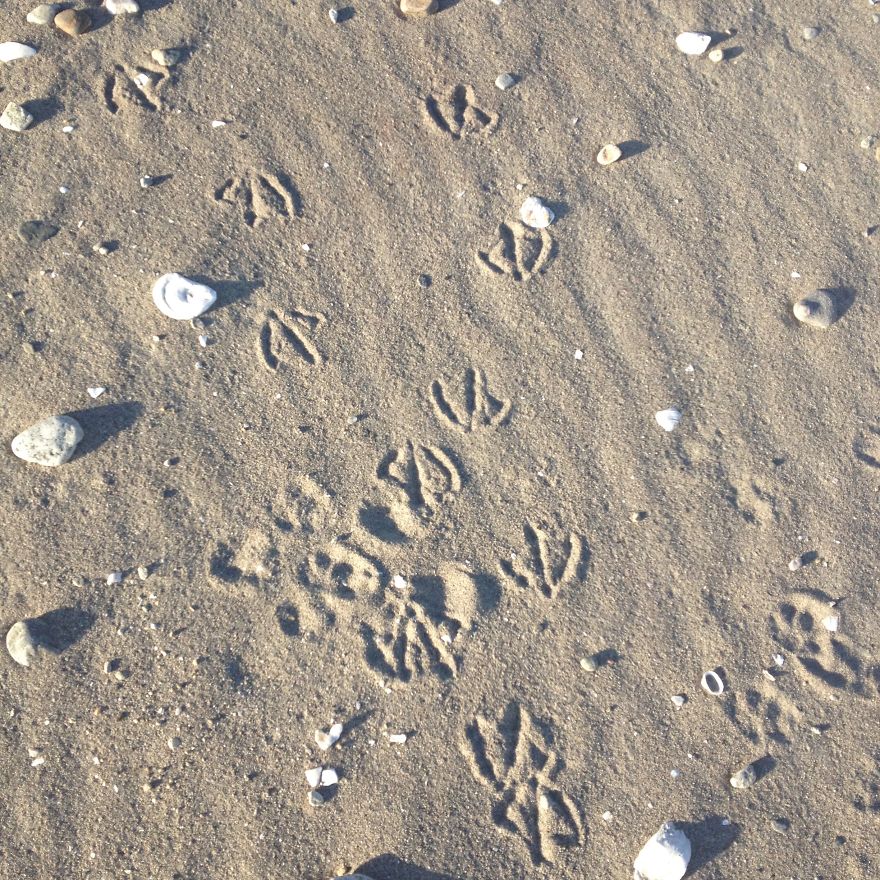 I Photograph Places I've Been And Things I See I Photograph Places I've Been And Things I See