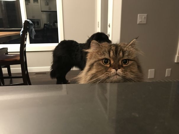 He's Behind Me Isn't He?