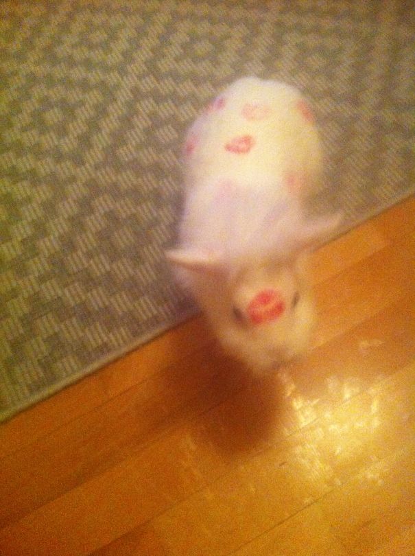 Not His Choise But Still Good Looking