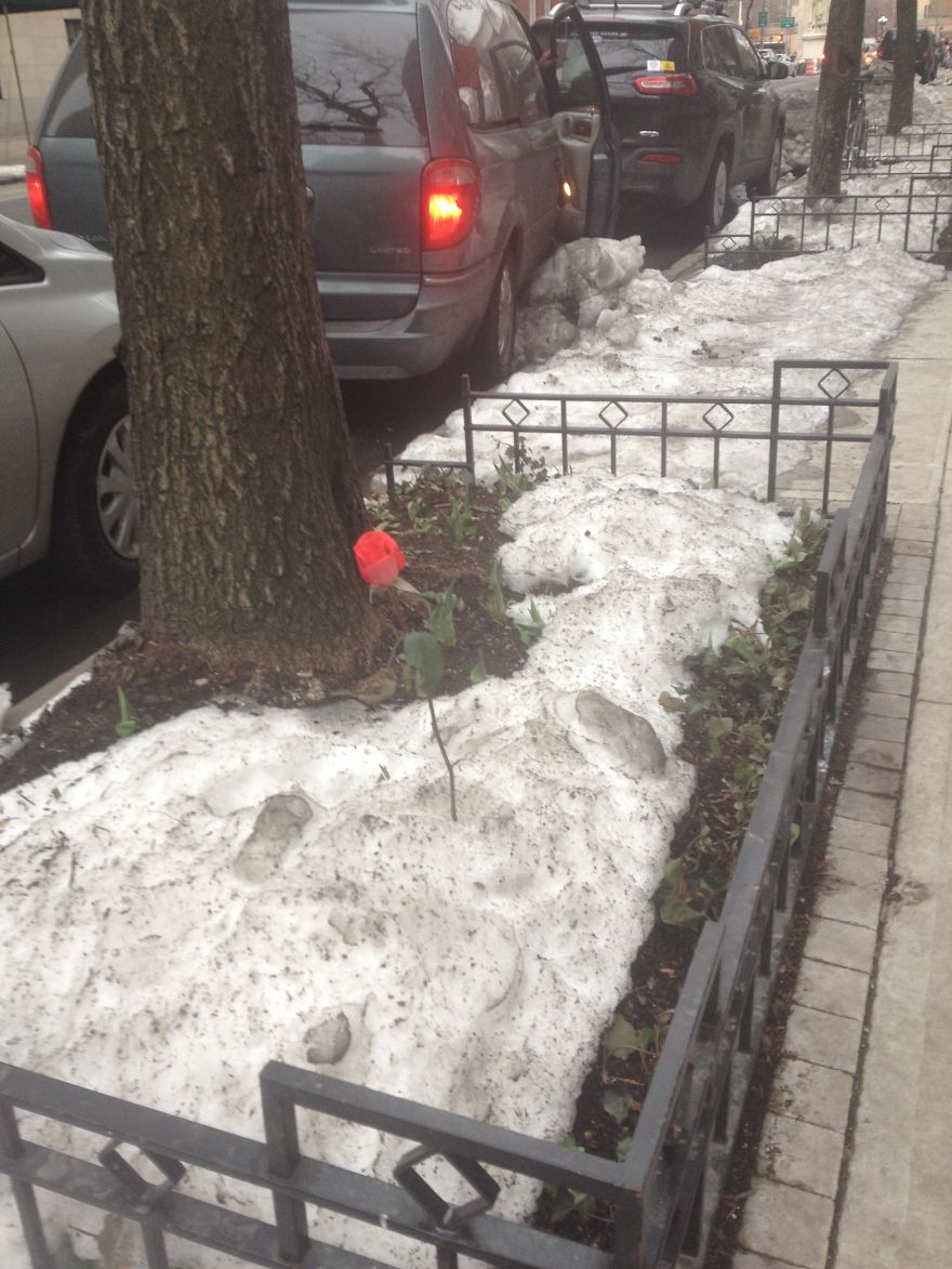 I Photograph Places I've Been And Things I See I Photograph Places I've Been And Things I See