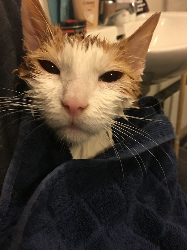 Just Took A Shower And Thought He Would Die