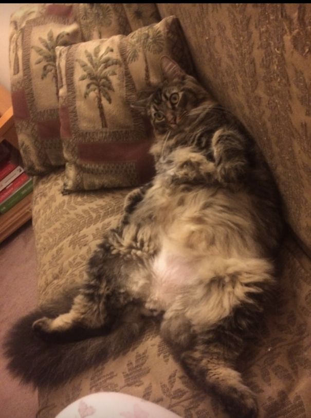 I Told Him It Was Sunday Night And We Have Work Tomorrow