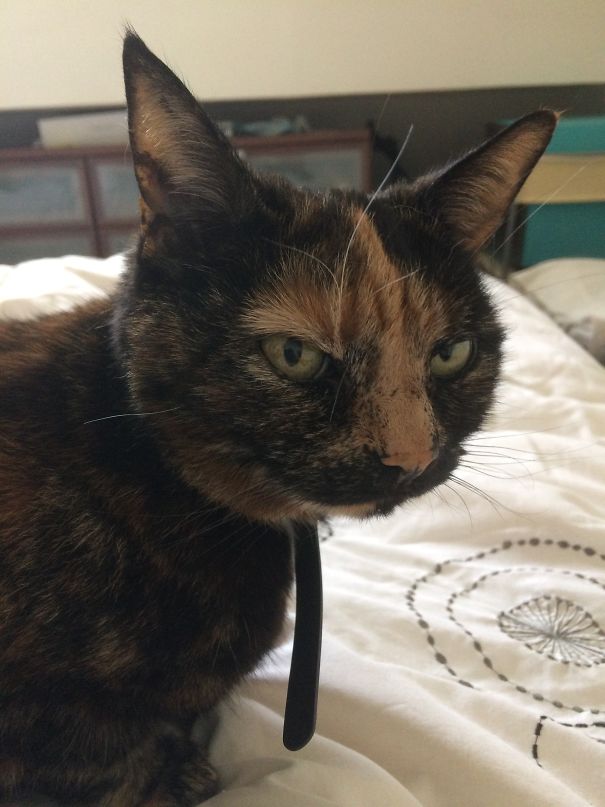 Just Get Out Of Bed And Feed Me...