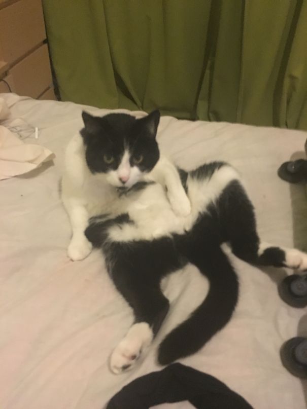 Felt Like I Was Interrupting........