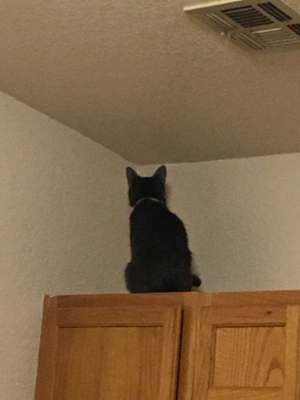 Either We Pissed Her Off Or She Put Herself In Timeout For Some Reason