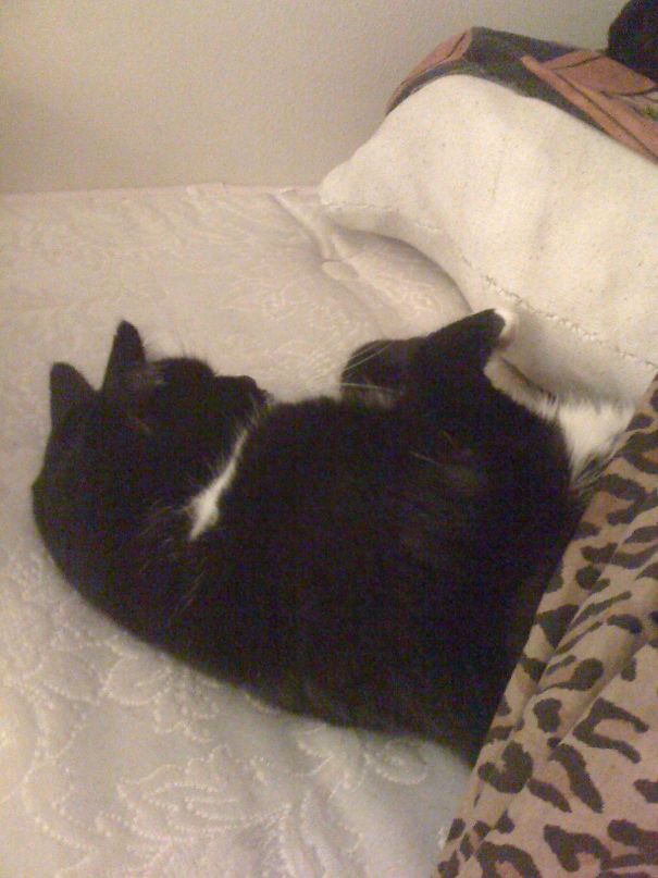 I'm A People And It's Bedtime!