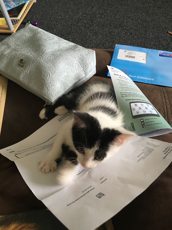 Momma You Don't Want To Know...