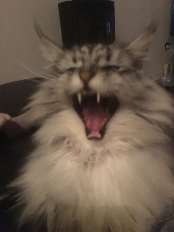 Told Him The One About The Three Nuns In A Lifeboat