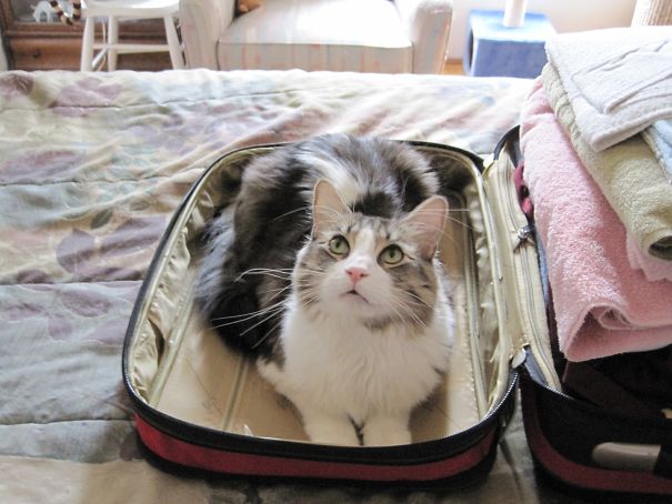 Your Taking Me To Hawaii Right ????