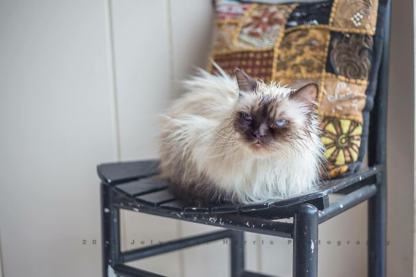 After His Bath, "b*tch...you Sleep; You Die!"