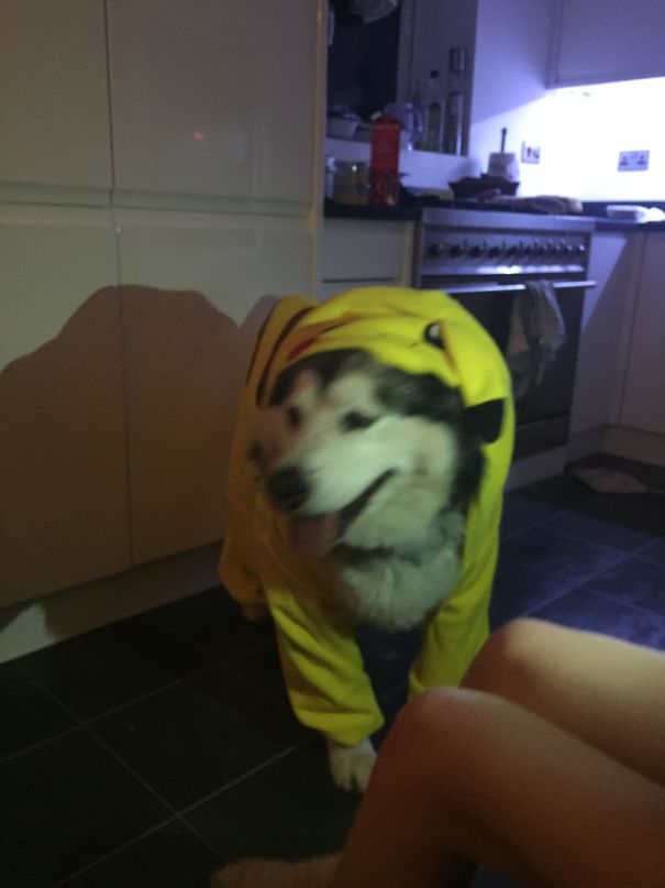 Our Girl Luna Dressed As Pickachu!