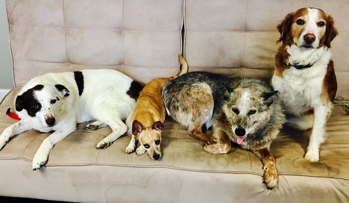 My Colorful Pack Of Four