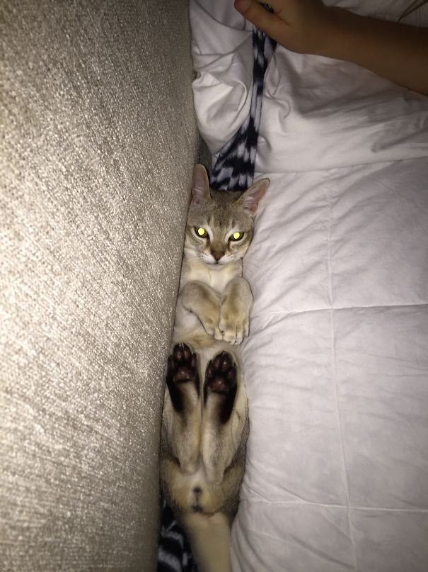 Why Are You Just Sitting There? Help Me! Stuck!