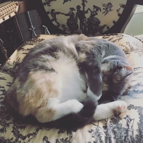 Someone Turn Out The Lights!