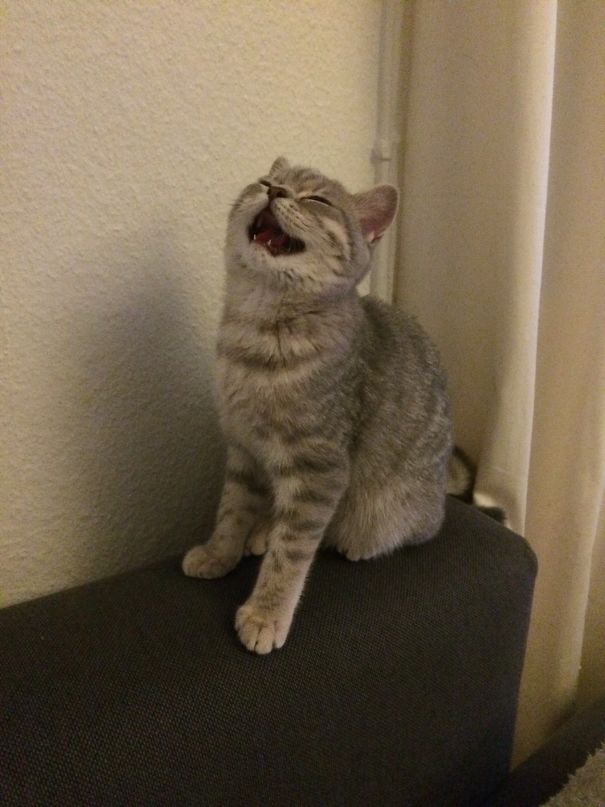 To Her Im Just A Joke