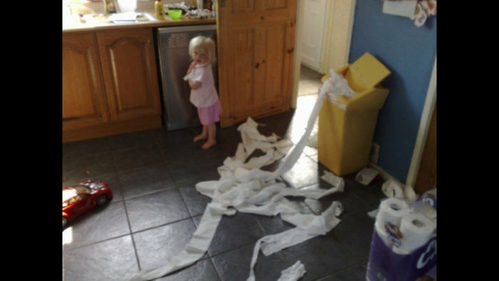 It's Not Just Pets 😂