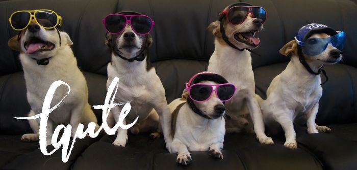 Tqute From Singapore