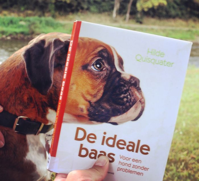 We Participate In Bookface Friday, Join Us!