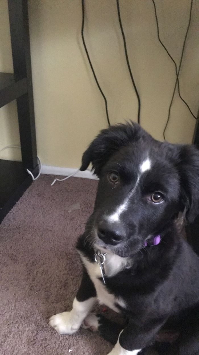 I Wanted You To Play With Me, So I Permanently Unplugged The Internet.