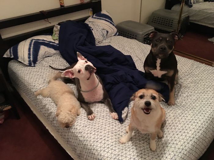 Whose Bed Is It Anyway