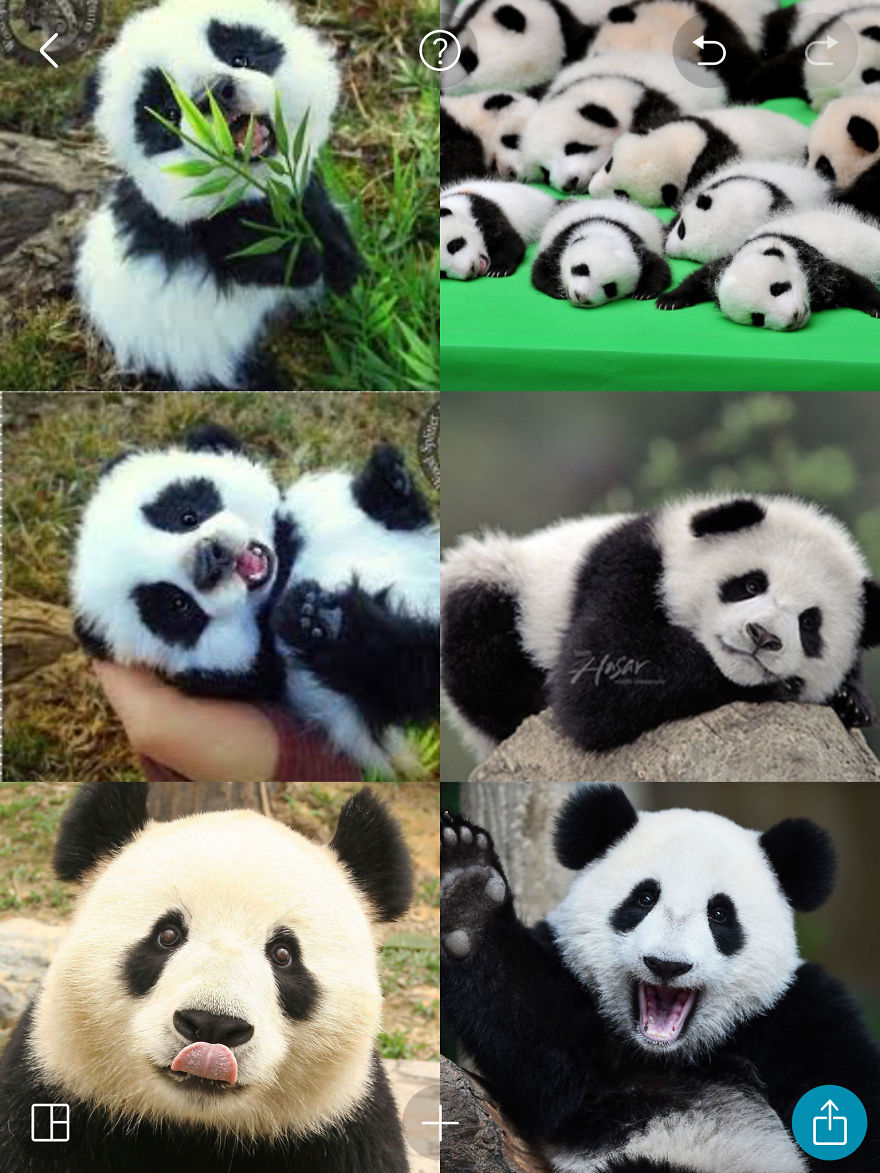 🐼pandas 🐼