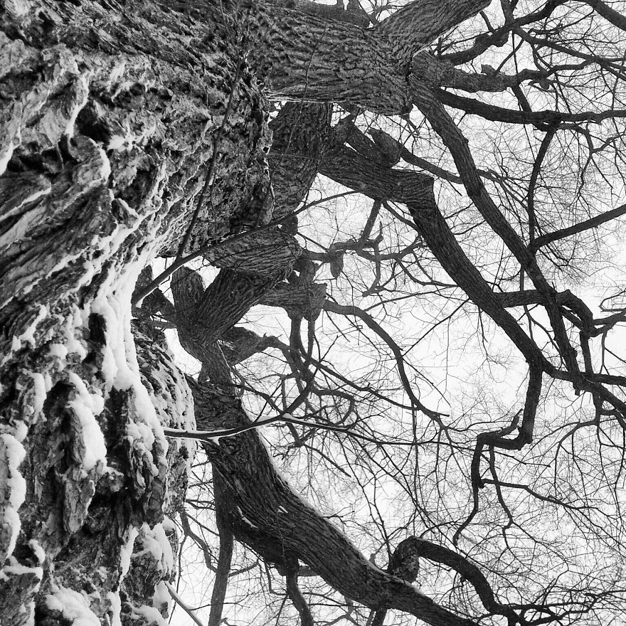 I Practice Dharma Art With Black And White Snapshots