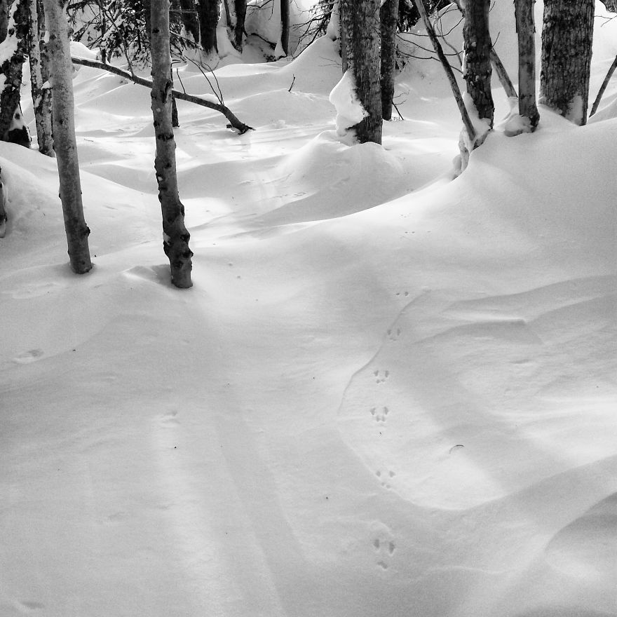 I Practice Dharma Art With Black And White Snapshots