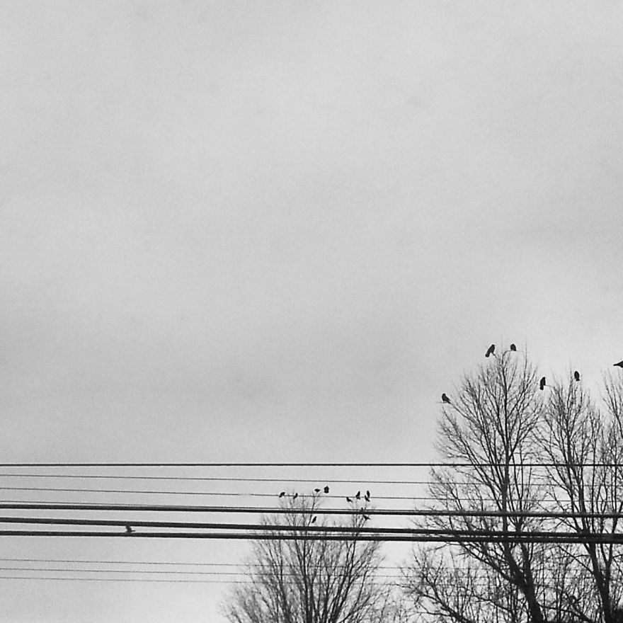 I Practice Dharma Art With Black And White Snapshots