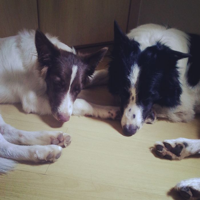 Daddy Taking A Nap With His Son