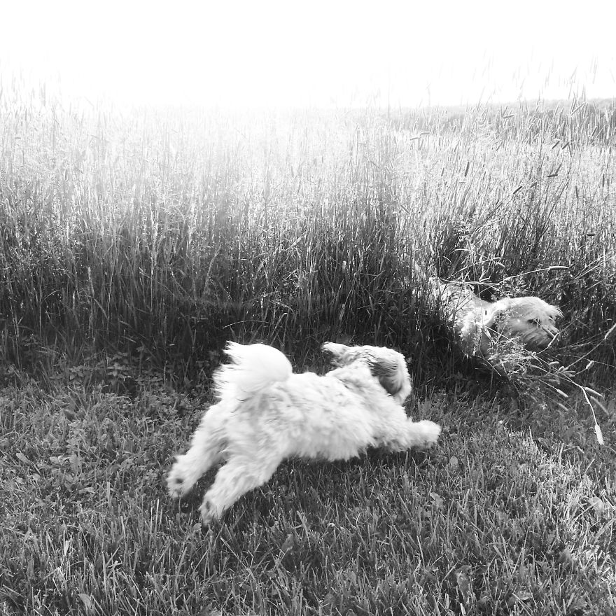 I Practice Dharma Art With Black And White Snapshots