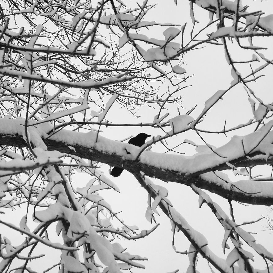 I Practice Dharma Art With Black And White Snapshots