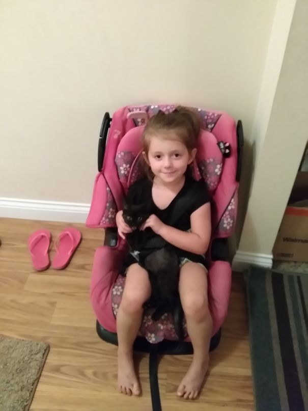 Can You See The Kitten?